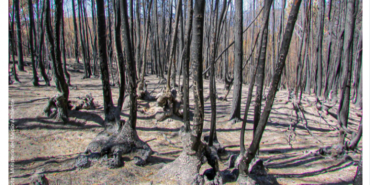 Induambiente | Del «Infierno» a la Esperanza