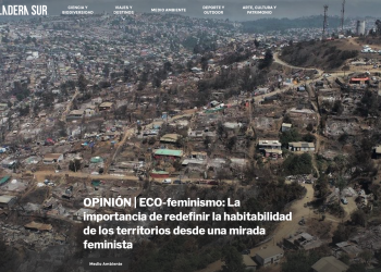 Ladera Sur | OPINIÓN | ECO-feminismo: La importancia de redefinir la habitabilidad de los territorios desde una mirada feminista