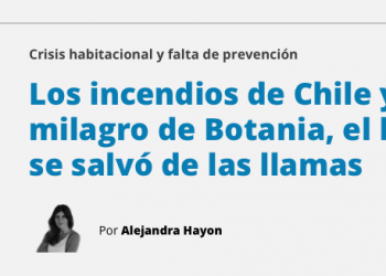 Pagina 12 |  Los incendios de Chile y el milagro de Botania, el barrio que se salvó de las llamas