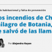 Pagina 12 |  Los incendios de Chile y el milagro de Botania, el barrio que se salvó de las llamas