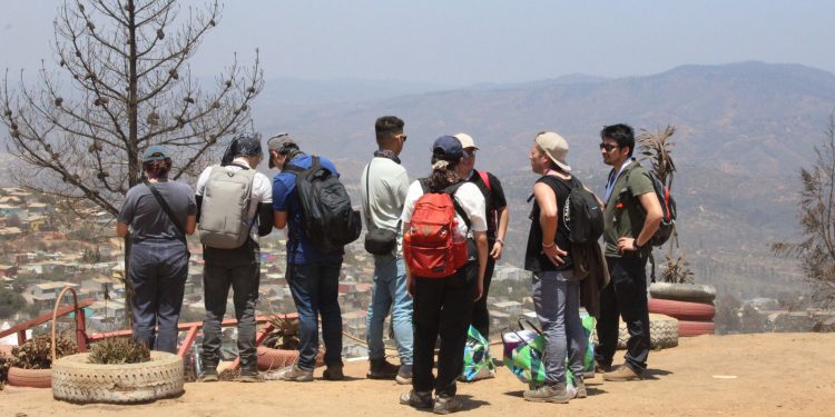 Viña del Mar: Laderas intervenidas en zona de incendios aumentan riesgo de derrumbes