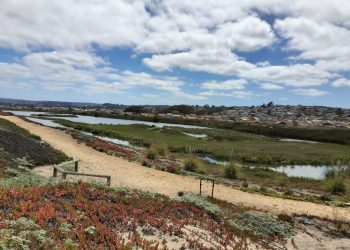 Geógrafa CIGIDEN elabora índice de resiliencia comunitaria con datos de acceso público