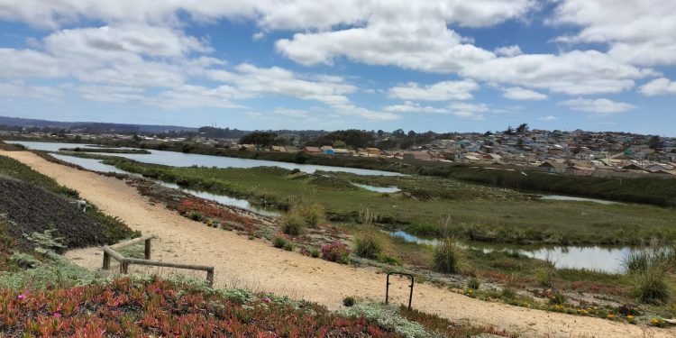 Geógrafa CIGIDEN elabora índice de resiliencia comunitaria con datos de acceso público