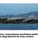 El Mostrador | Desalación y concesiones marítimas podrían aumentar degradación de zona costera