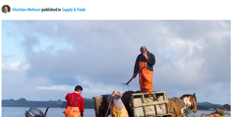 Seafood Source | Chile’s Lafkenche Law requires urgent changes, salmon execs caution