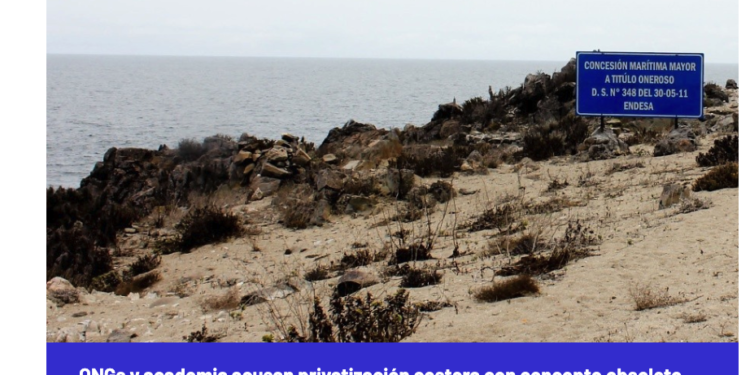El Desconcierto | ONGs y academia acusan privatización costera con concepto obsoleto en fast track por permisología