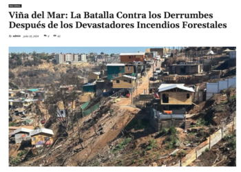 El Reporte Diario | Viña del Mar: La Batalla Contra los Derrumbes Después de los Devastadores Incendios Forestales