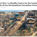 El Reporte Diario | Viña del Mar: La Batalla Contra los Derrumbes Después de los Devastadores Incendios Forestales