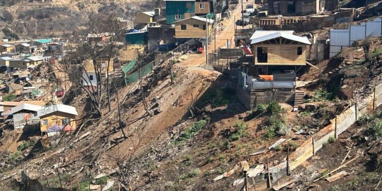 Incendios de febrero aumentan peligro de derrumbes en cerros de Viña del Mar