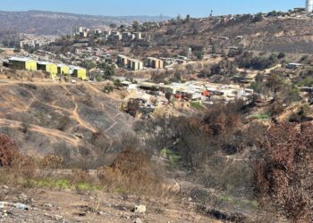 Incendios de febrero aumentan peligro de derrumbes en cerros de Viña del Mar