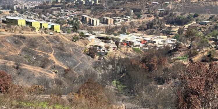 Incendios de febrero aumentan peligro de derrumbes en cerros de Viña del Mar