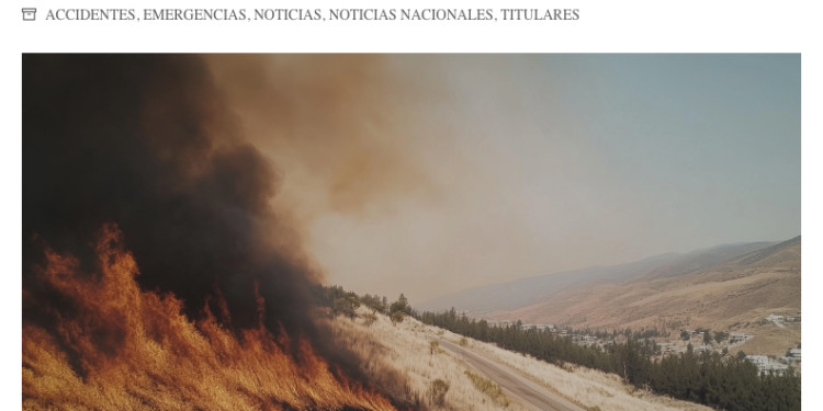 Ovejero Noticias | CIGIDEN presenta estudio sobre impacto de incendios forestales y su recuperación